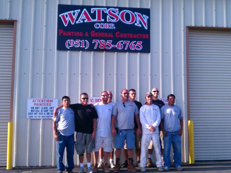 the Watson team